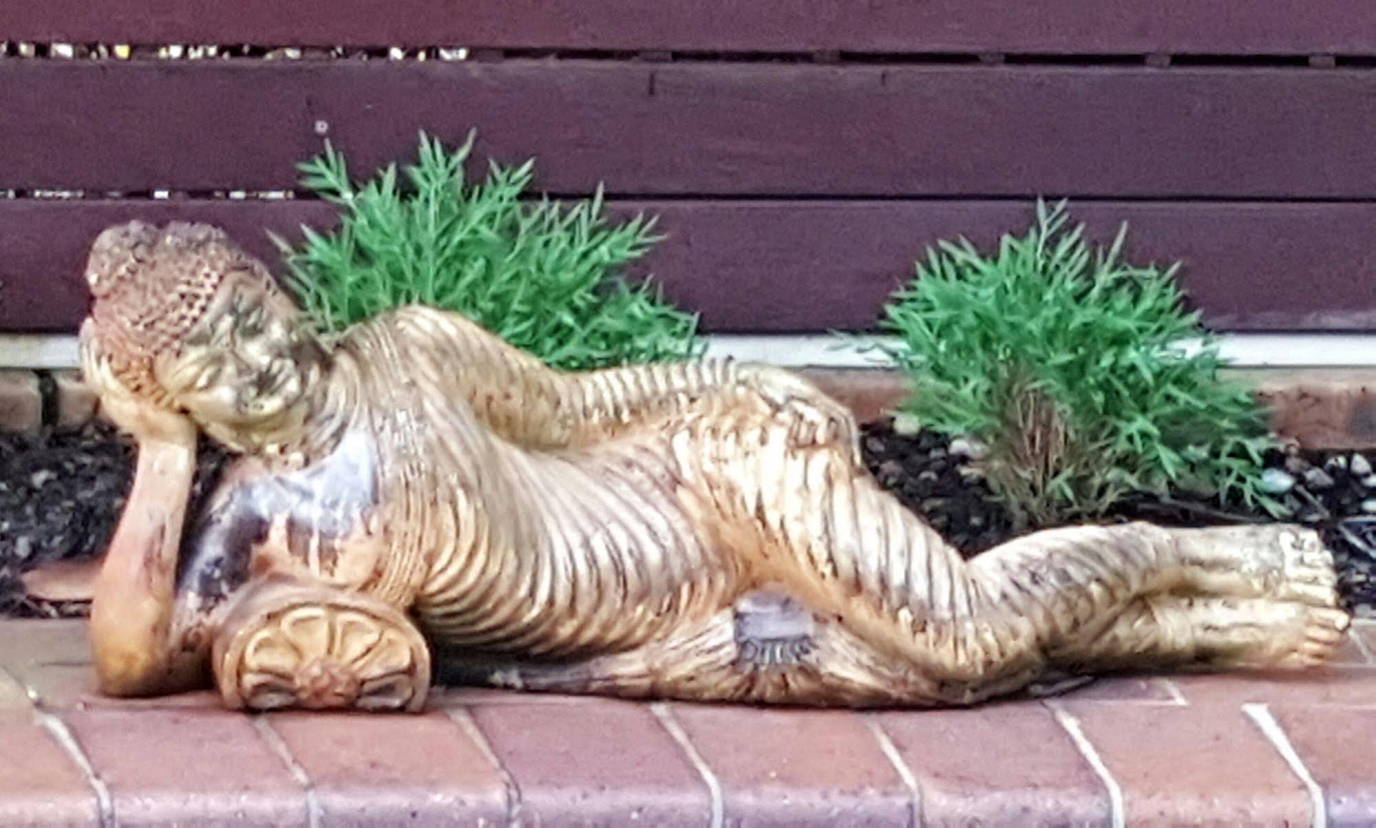 Ballina Palms Boutique Motel Bagian luar foto